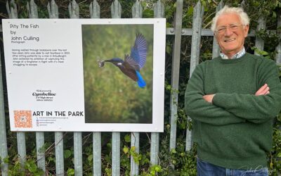29 – September 23 – Art in the Park
