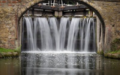 20-August 25 – Snappers at Tring Reservoir