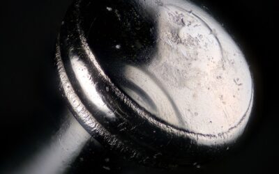 27-October 25 – Extreme Macro Photography – Presentation by Bernard Foot